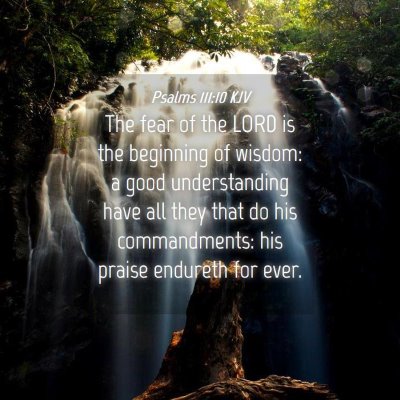 Picture 04 - Psalms 111:10 KJV - The fear of the LORD is the beginning of wisdom: - Bible Verse Picture