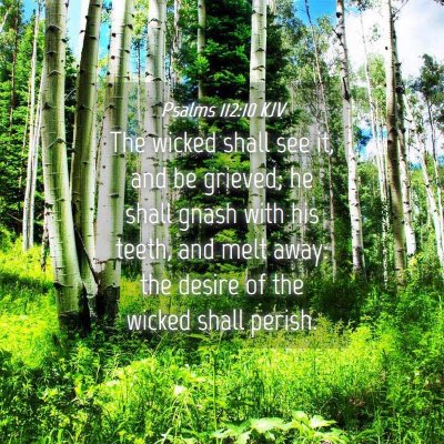 Picture 04 - Psalms 112:10 KJV - The wicked shall see it, and be grieved; he shall - Bible Verse Picture