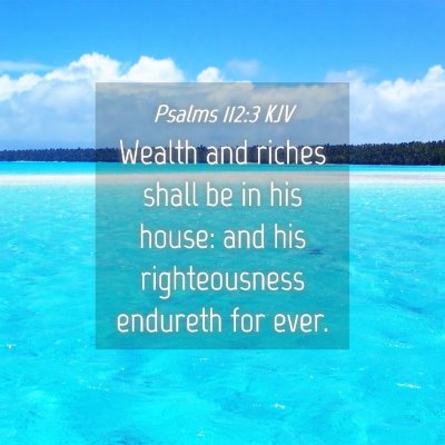 Picture 04 - Psalms 112:3 KJV - Wealth and riches shall be in his house: and his - Bible Verse Picture