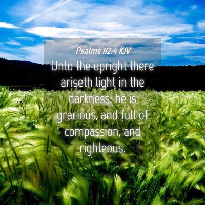 Picture 04 - Psalms 112:4 KJV - Unto the upright there ariseth light in the - Bible Verse Picture