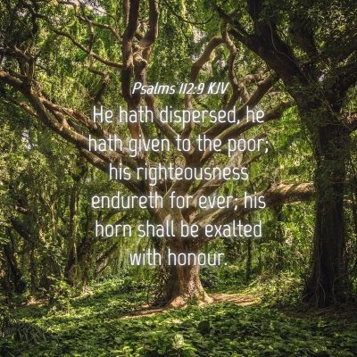 Picture 04 - Psalms 112:9 KJV - He hath dispersed, he hath given to the poor; his - Bible Verse Picture