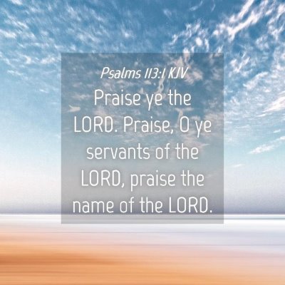 Picture 04 - Psalms 113:1 KJV - Praise ye the LORD. Praise, O ye servants of the - Bible Verse Picture