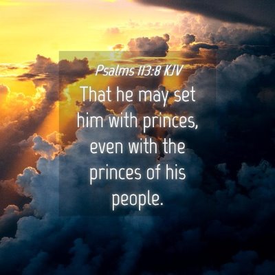 Picture 04 - Psalms 113:8 KJV - That he may set him with princes, even with the - Bible Verse Picture