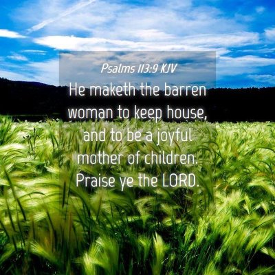 Picture 04 - Psalms 113:9 KJV - He maketh the barren woman to keep house, and to - Bible Verse Picture