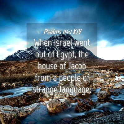 Picture 04 - Psalms 114:1 KJV - When Israel went out of Egypt, the house of Jacob - Bible Verse Picture