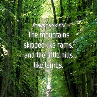 Picture 04 - Psalms 114:4 KJV - The mountains skipped like rams, and the little - Bible Verse Picture
