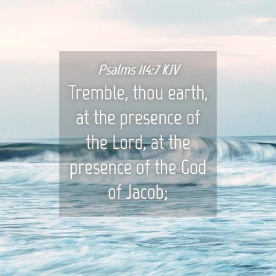 Picture 04 - Psalms 114:7 KJV - Tremble, thou earth, at the presence of the Lord, - Bible Verse Picture