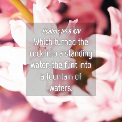 Picture 04 - Psalms 114:8 KJV - Which turned the rock into a standing water, the - Bible Verse Picture
