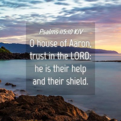 Picture 04 - Psalms 115:10 KJV - O house of Aaron, trust in the LORD: he is their - Bible Verse Picture