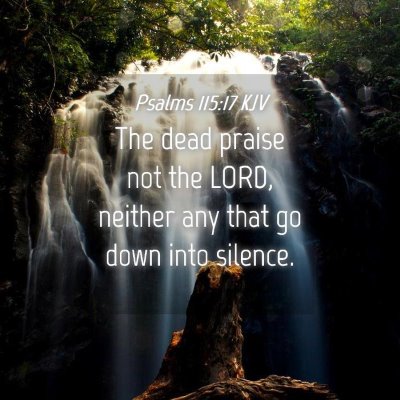 Picture 04 - Psalms 115:17 KJV - The dead praise not the LORD, neither any that go - Bible Verse Picture