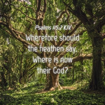 Picture 04 - Psalms 115:2 KJV - Wherefore should the heathen say, Where is now - Bible Verse Picture