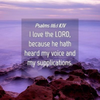 Picture 04 - Psalms 116:1 KJV - I love the LORD, because he hath heard my voice - Bible Verse Picture