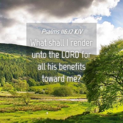 Picture 04 - Psalms 116:12 KJV - What shall I render unto the LORD for all his - Bible Verse Picture