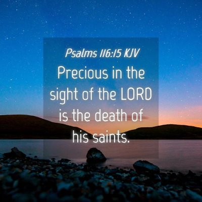 Picture 04 - Psalms 116:15 KJV - Precious in the sight of the LORD is the death of - Bible Verse Picture