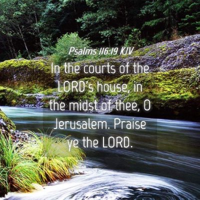 Picture 04 - Psalms 116:19 KJV - In the courts of the LORD's house, in the midst - Bible Verse Picture