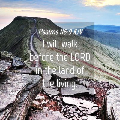 Picture 04 - Psalms 116:9 KJV - I will walk before the LORD in the land of the - Bible Verse Picture