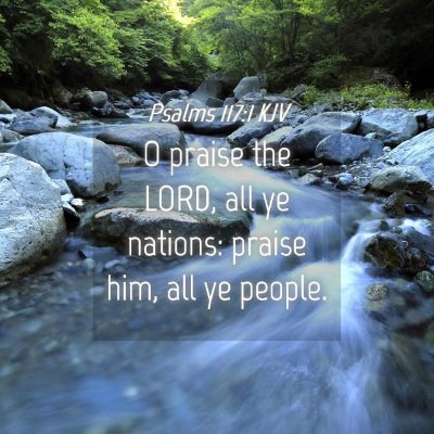 Picture 04 - Psalms 117:1 KJV - O praise the LORD, all ye nations: praise him, - Bible Verse Picture
