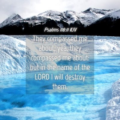 Picture 04 - Psalms 118:11 KJV - They compassed me about; yea, they compassed me - Bible Verse Picture