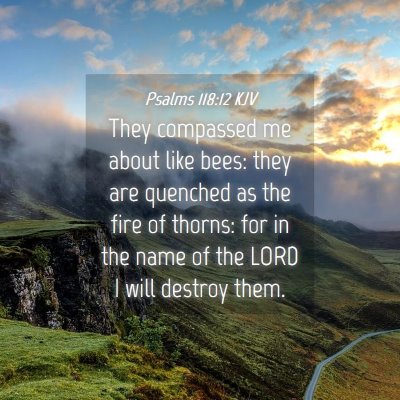 Picture 04 - Psalms 118:12 KJV - They compassed me about like bees: they are - Bible Verse Picture