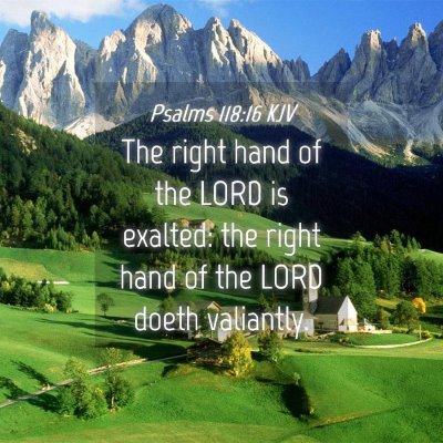 Picture 04 - Psalms 118:16 KJV - The right hand of the LORD is exalted: the right - Bible Verse Picture