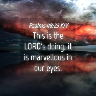 Picture 04 - Psalms 118:23 KJV - This is the LORD's doing; it is marvellous in our - Bible Verse Picture