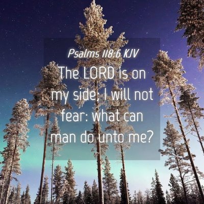 Picture 04 - Psalms 118:6 KJV - The LORD is on my side; I will not fear: what can - Bible Verse Picture