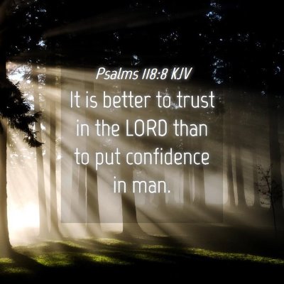 Picture 04 - Psalms 118:8 KJV - It is better to trust in the LORD than to put - Bible Verse Picture