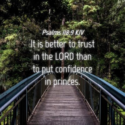 Picture 04 - Psalms 118:9 KJV - It is better to trust in the LORD than to put - Bible Verse Picture