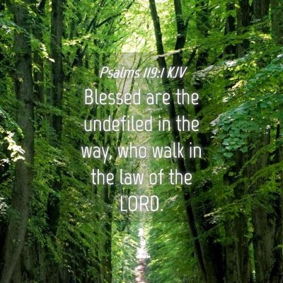 Picture 04 - Psalms 119:1 KJV - Blessed are the undefiled in the way, who walk in - Bible Verse Picture