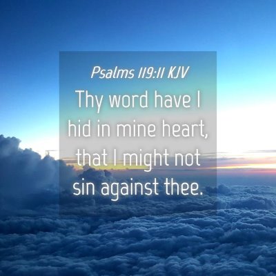 Picture 04 - Psalms 119:11 KJV - Thy word have I hid in mine heart, that I might - Bible Verse Picture
