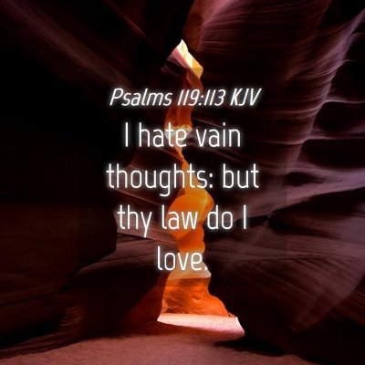 Picture 04 - Psalms 119:113 KJV - I hate vain thoughts: but thy law do I - Bible Verse Picture