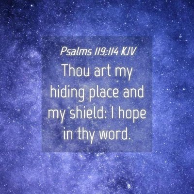 Picture 04 - Psalms 119:114 KJV - Thou art my hiding place and my shield: I hope in - Bible Verse Picture
