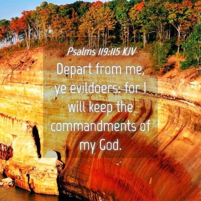 Picture 04 - Psalms 119:115 KJV - Depart from me, ye evildoers: for I will keep the - Bible Verse Picture