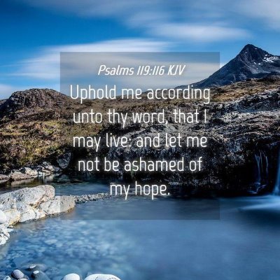 Picture 04 - Psalms 119:116 KJV - Uphold me according unto thy word, that I may - Bible Verse Picture