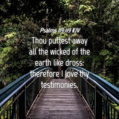 Picture 04 - Psalms 119:119 KJV - Thou puttest away all the wicked of the earth - Bible Verse Picture