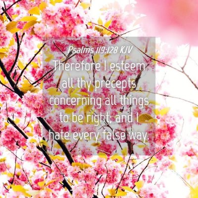 Picture 04 - Psalms 119:128 KJV - Therefore I esteem all thy precepts concerning - Bible Verse Picture