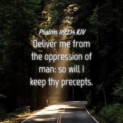 Picture 04 - Psalms 119:134 KJV - Deliver me from the oppression of man: so will I - Bible Verse Picture