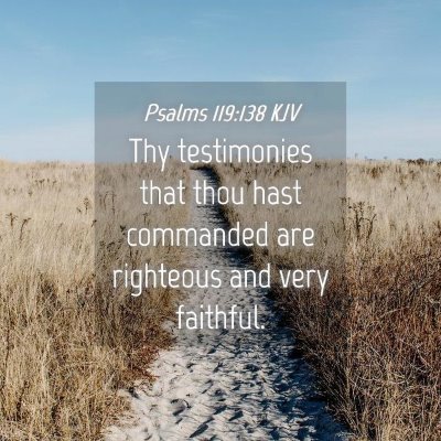 Picture 04 - Psalms 119:138 KJV - Thy testimonies that thou hast commanded are - Bible Verse Picture