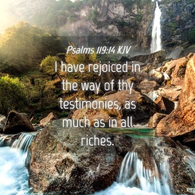 Picture 04 - Psalms 119:14 KJV - I have rejoiced in the way of thy testimonies, as - Bible Verse Picture