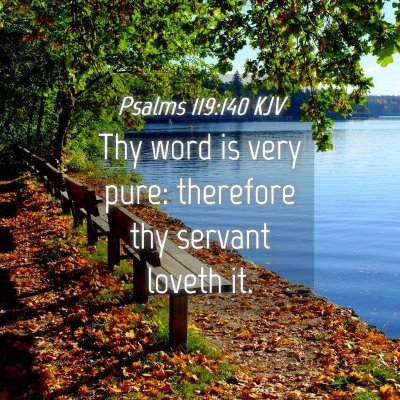 Picture 04 - Psalms 119:140 KJV - Thy word is very pure: therefore thy servant - Bible Verse Picture