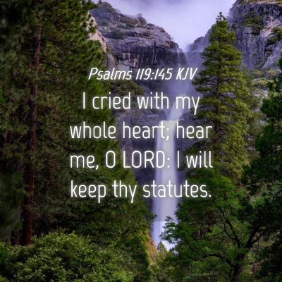 Picture 04 - Psalms 119:145 KJV - I cried with my whole heart; hear me, O LORD: I - Bible Verse Picture