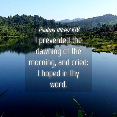 Picture 04 - Psalms 119:147 KJV - I prevented the dawning of the morning, and - Bible Verse Picture