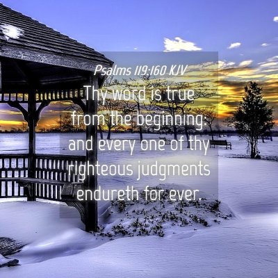 Picture 04 - Psalms 119:160 KJV - Thy word is true from the beginning: and every - Bible Verse Picture