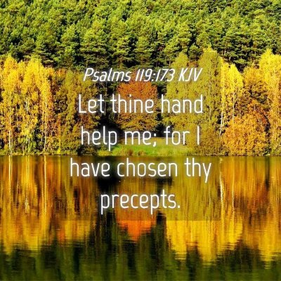 Picture 04 - Psalms 119:173 KJV - Let thine hand help me; for I have chosen thy - Bible Verse Picture
