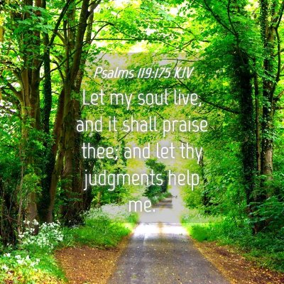 Picture 04 - Psalms 119:175 KJV - Let my soul live, and it shall praise thee; and - Bible Verse Picture