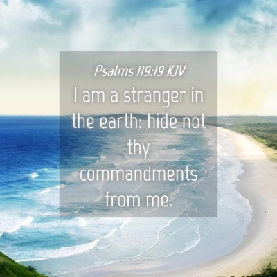 Picture 04 - Psalms 119:19 KJV - I am a stranger in the earth: hide not thy - Bible Verse Picture