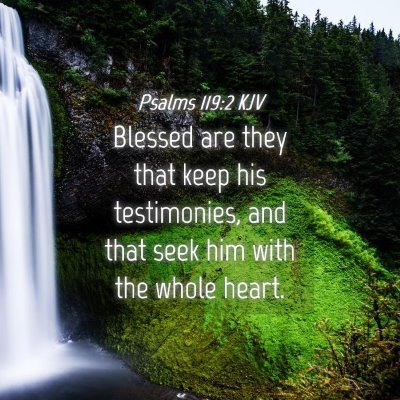 Picture 04 - Psalms 119:2 KJV - Blessed are they that keep his testimonies, and - Bible Verse Picture