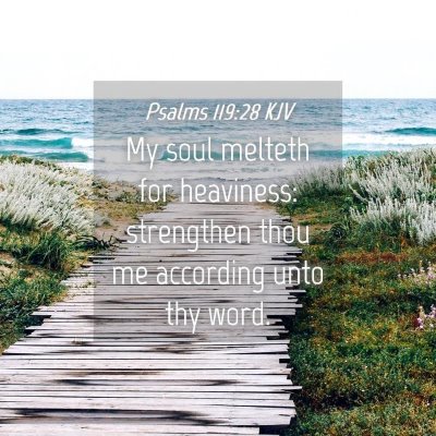 Picture 04 - Psalms 119:28 KJV - My soul melteth for heaviness: strengthen thou me - Bible Verse Picture