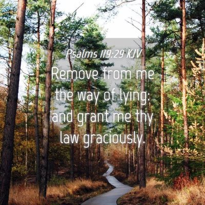 Picture 04 - Psalms 119:29 KJV - Remove from me the way of lying: and grant me thy - Bible Verse Picture