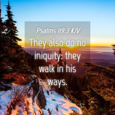 Picture 04 - Psalms 119:3 KJV - They also do no iniquity: they walk in his - Bible Verse Picture